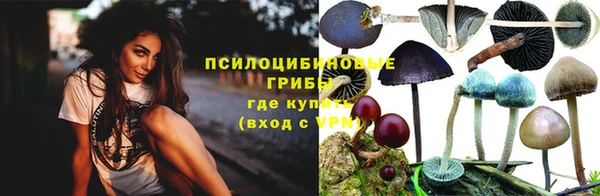 твердый Липки