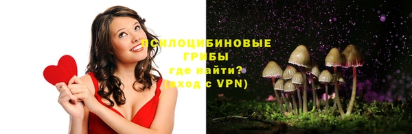 СК Лихославль
