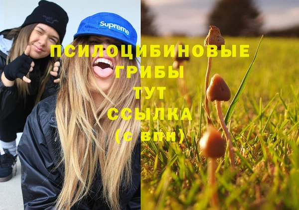 СК Лихославль